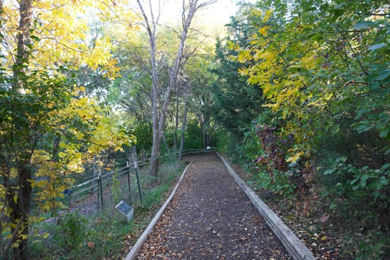 trail surrounded by colorful fall foliage at the Bismarck Rotary Arboretum